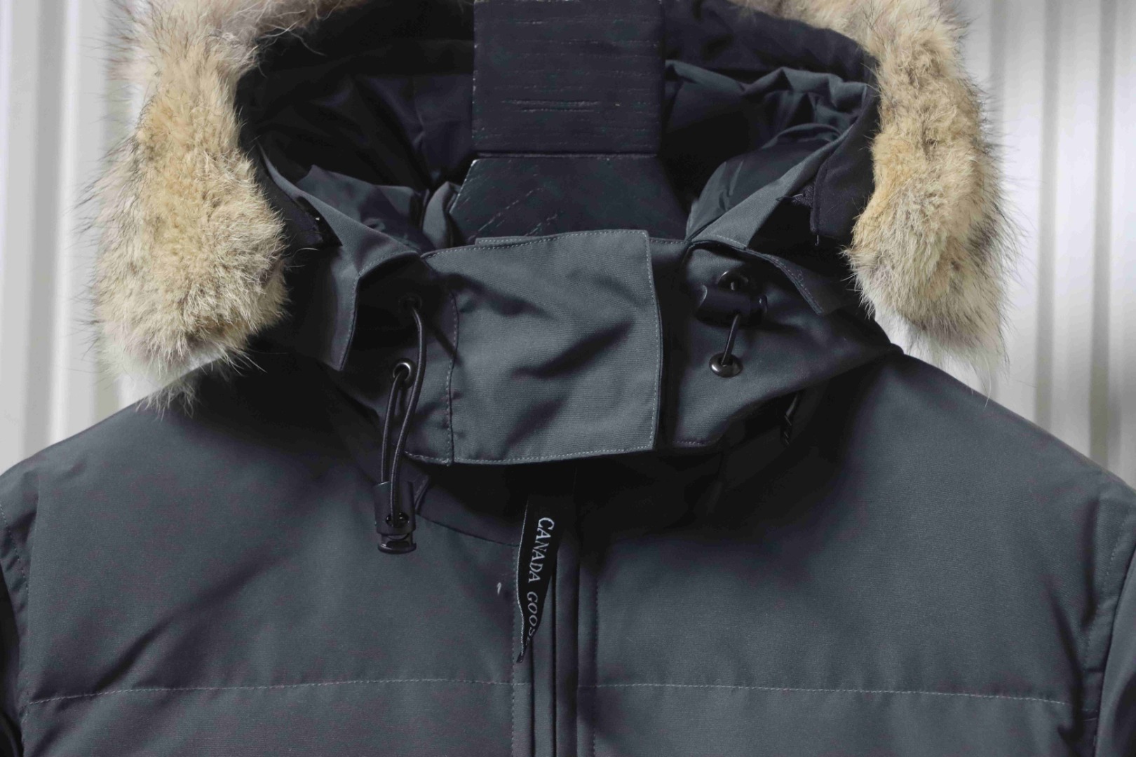 down jacket - Image 3